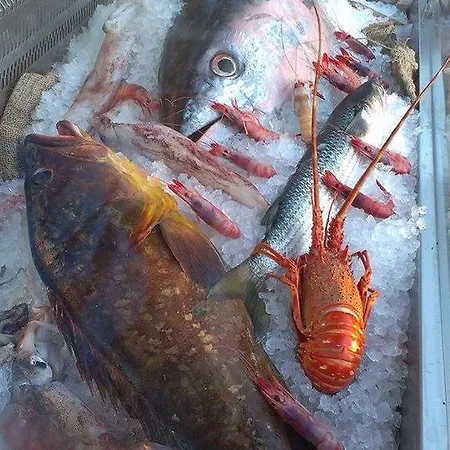 Corsaro Nero Hotel Portu Maga